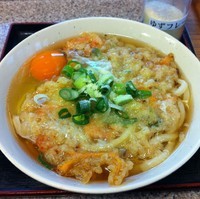 「天玉うどん（￥450）」@麦の城の写真