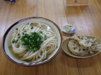 「ひやあつ大＋天ぷら１　450+100円」@純手打ち讃岐うどん 綾の写真