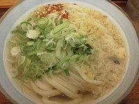 「かけうどん（ひやあつ）￥350+大￥100」@いわしやの写真