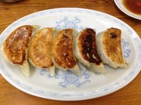 「餃子（￥250）」@横浜とんとんの写真