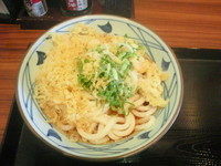 「ぶっかけうどん(大)(380円)」@丸亀製麺 松戸栗ヶ沢店の写真
