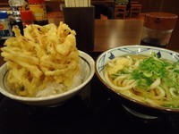 「かけうどん並」@丸亀製麺 草加店の写真