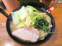 「ラーメン　＋キャベツ」@ラーメン 大山家の写真