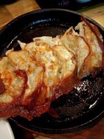 「鉄板ギョーザ」@唐人楼の写真