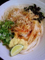 「かけうどん」@たも屋 本店の写真