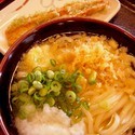 かけうどん