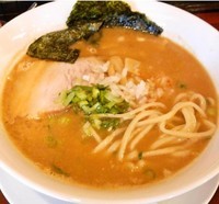 「特濃みそ+餃子(700円+300円)」@麺や 松辰の写真