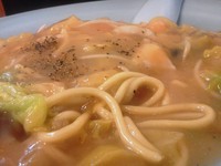 「皿うどん大￥750」@獅子林 王塚台店の写真