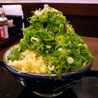 「ぶっかけ 並・温 280円」@丸亀製麺 カレッタ汐留店の写真