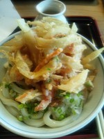 「冷やしぶっかけとかきあげ」@好日庵の写真