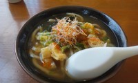 「ピリ辛肉みそうどん＋とろろそば」@手打ち麺工房 一樹の写真