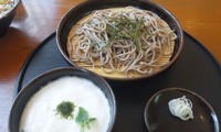 「つけトロロそば＋ピリ辛うどん」@手打ち麺工房 一樹の写真