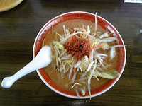 「辛口味噌ラーメン」@支那家 味しろの写真