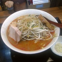 「辛味噌ラーメン」@味噌麺処 花道庵の写真