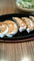 「鉄板餃子(定価390円)」@鉄板餃子房 満天食堂の写真