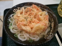 「かけうどん中＋かきあげ（２１０円＋１４７円）」@はなまるうどん イオンモール北戸田店の写真