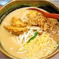 「北海道味噌らーめん＋餃子セット(680円＋350円)」@麺場 龍吟の写真