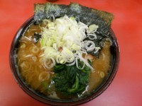 「ラーメン（600円）+朝ネギ（40円）」@ラーメン杉田家の写真