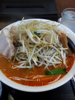 「辛味噌ラーメン、野菜、ニンニク」@味噌麺処 花道庵の写真