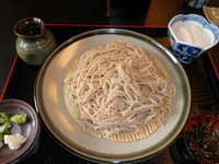 「粗びき蕎麦・大盛り（１２００円）＋つけとろろ（１００円）」@水舎の写真
