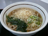 「たぬきそば（２４０円）」@山田うどん 戸田新曽店の写真