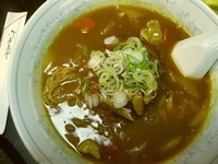 「バーグカレーメン」@中華料理 嵐山の写真