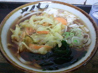 「かきあげ・玉子うどん（３５０円）」@立喰はや川の写真