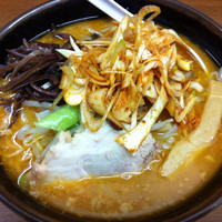 「味噌ラーメン＋ネギ （600円＋100円）」@江戸一の写真