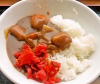 「讃岐かけうどん＋ミニカレー(360円＋300円)」@美野里パーキングエリア（上り線）フードコートの写真