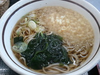 「たぬきそば（２４０円）」@山田うどん 戸田新曽店の写真