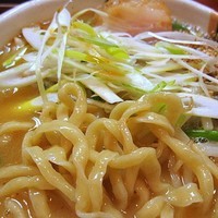 「味噌らー麺　750円」@味噌麺 高樋兄弟の写真