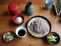 「おろしそば　700円」@野のはな庵の写真