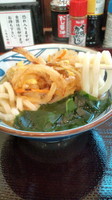 「かき揚わかめうどん(朝メニュー)280円」@丸亀製麺 足立店の写真