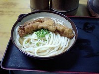 「ひやあつ特大＋ゲソ天」@山内うどん店の写真