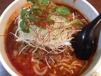 「正宗担担面＋餃子（850円＋250円）」@楽山担担面 稔台店の写真