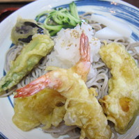 「冷やし天おろしそば（９００円）」@手打そばうどん双葉屋の写真