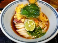 「ひや天うどん (800円)」@うどん棒 大阪本店の写真