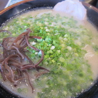 「博多ラーメン（６００円）＋ねぎ（１００円）」@博多らーめん 万々の写真