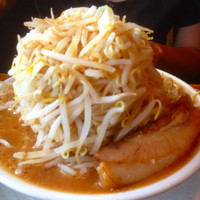 「ラーメン中盛野菜増し」@どてちんⅢの写真