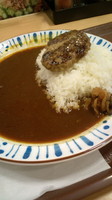 「ハンバーグカレー(並)450円」@すき家 品川東店の写真