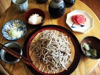 「おろしそば･大盛り　700+250円」@野のはな庵の写真