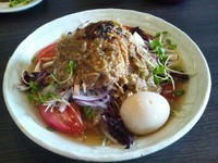 「【季節の中華そば】翡翠麺の棒棒鶏冷し中華800円＋味玉（クー」@中華蕎麦 瑞山（ZUIZAN）の写真