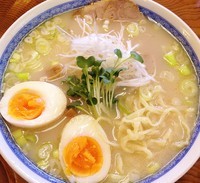 「軍鶏白湯ラーメン750円」@軍鶏ラーメン美幸の写真