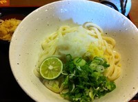 「生醤油うどん (550円)」@讃岐麺房 すずめの写真