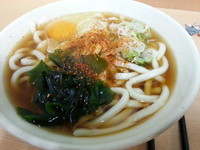 「月見うどん（３３０円）」@めん処 一ぷく 武蔵浦和店の写真