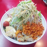 「冷やし中華(大)：780円」@千里眼の写真