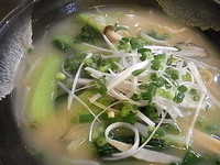 「煮込みタンメン」@中国料理 秀鳳の写真