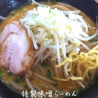 「特製味噌らーめん 700円」@麺屋 みらい2の写真