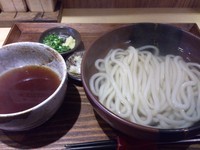 「釜揚げうどん_500円」@自家製麺 うどん屋 てんてこの写真