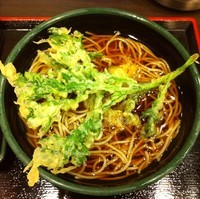 「かけ（￥260）＋春菊天（￥100）」@ゆで太郎 新宿ワシントンホテル店の写真